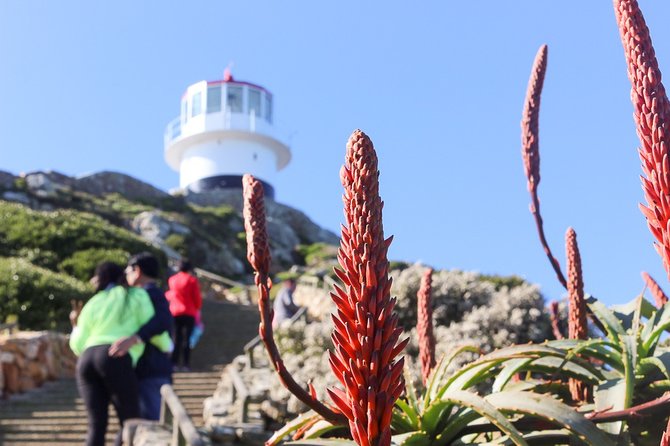 Full Day Private Cape Highlights - Is $697.80 good value for two people?