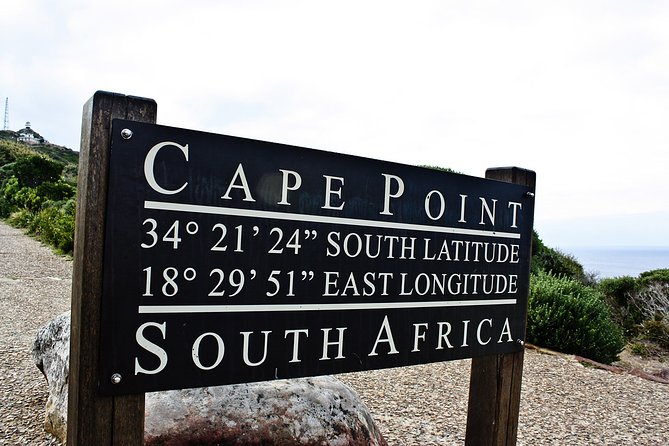 Full Day Private Cape Highlights - Chapman’s Peak and the road to Cape Point