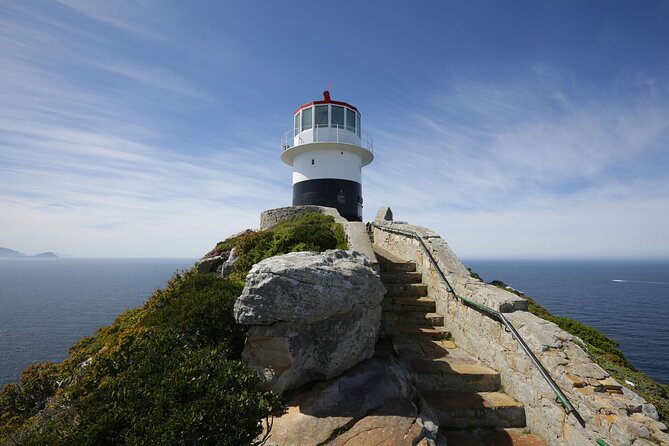 Full Day Private Cape Peninsula and Boulders Beach Tour - Hout Bay and the Seal Island Question