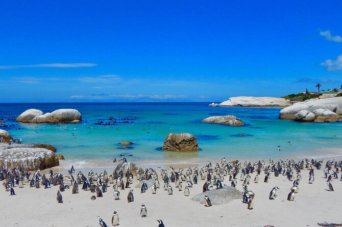 Full Day Private Cape Peninsula and Boulders Beach Tour - Cape Point and the Old Lighthouse