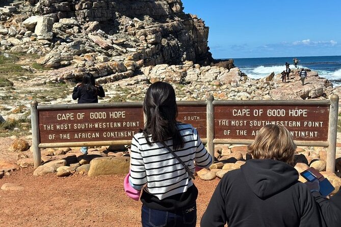 Full Day Private Cape Peninsula and Boulders Beach Tour - Simon’s Town and Lunch on Your Own