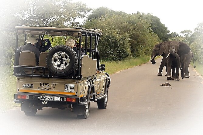 Full Day Private Kruger Park Safari - Why a private Kruger safari changes the day