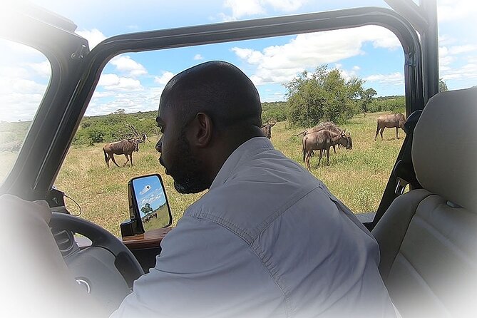 Full Day Private Kruger Park Safari - 12:30 PM lunch at a Kruger rest camp