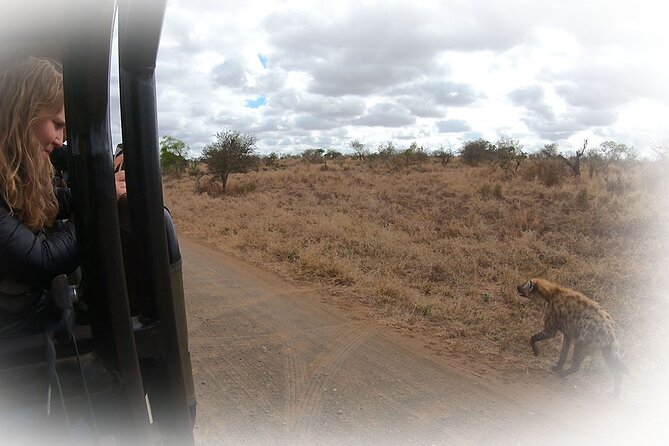 Full Day Private Kruger Park Safari - 6:00 PM return to your lodge