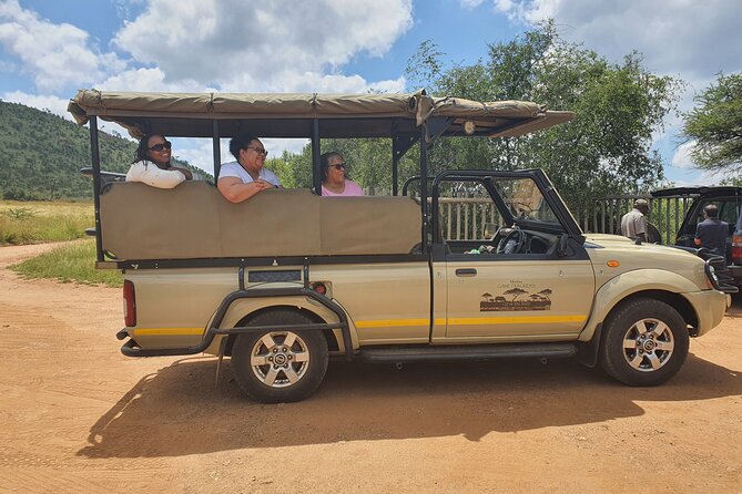 Full Day Safari from Johannesburg - Pilanesberg Nature Reserve - Lunch at a park lodge