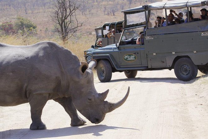 Full Day Safari in the Kruger National Park from Hazyview - Lunch, a pause, and the afternoon drive