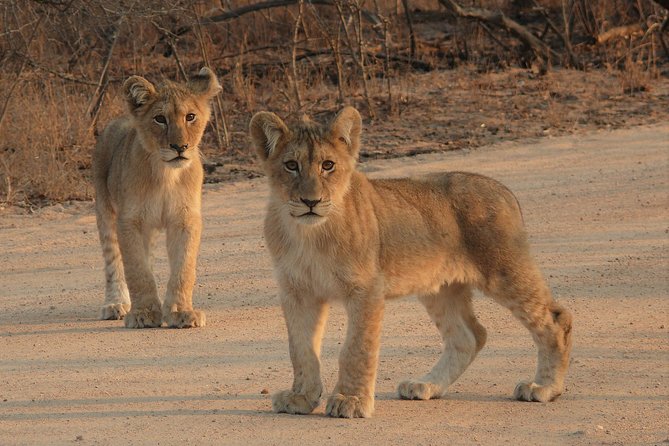 Full Day Safari in the Kruger National Park from Hazyview - Packing for an exposed vehicle