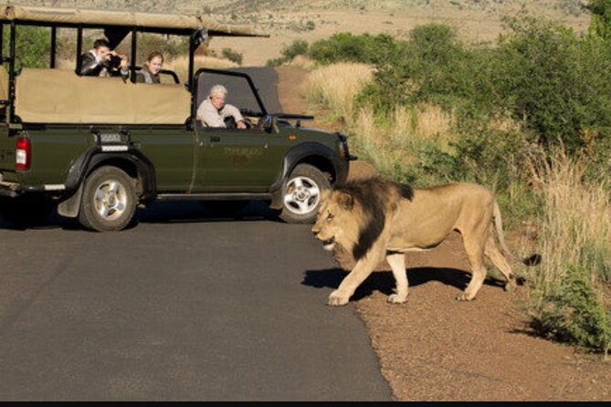 Full Day Safari Tour of Pilanesberg National Park, Open Jeep experience - What the guide adds to the game drive