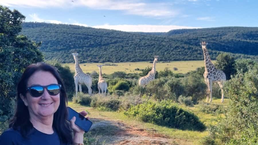 Full-Day Schotia Game Reserve & Giraffe Walk (Open 4x4) - Why this seven-hour safari works well