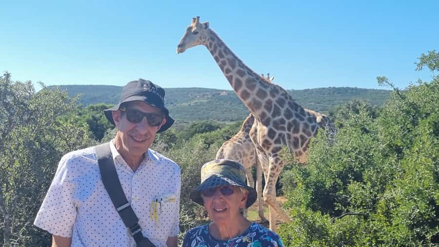 Full-Day Schotia Game Reserve & Giraffe Walk (Open 4x4) - Four hours in Schotias open 4x4