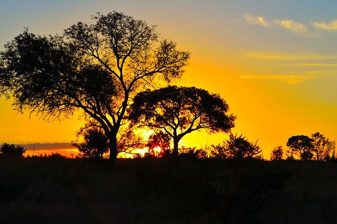 Full-Day Shared Kruger National Park Safari from Hoedspruit - Afternoon wildlife viewing and the return to Hoedspruit