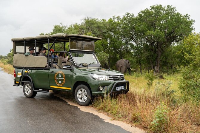 Full-Day Shared Kruger National Park Safari from Hoedspruit - What the $129.80 price really includes