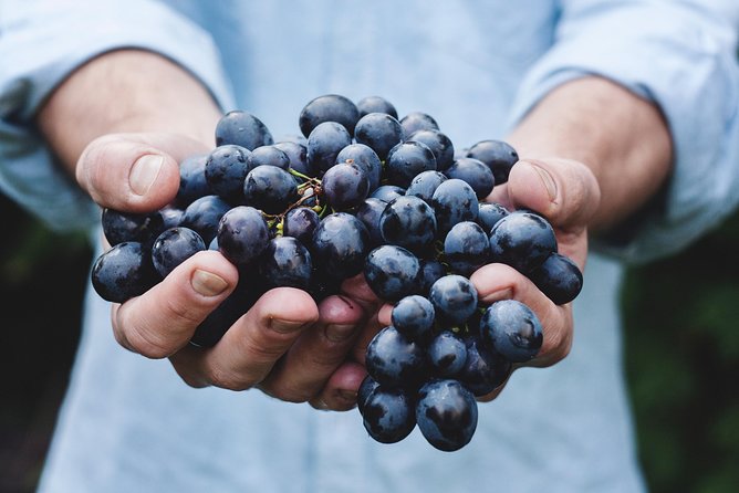 Full-Day Stellenbosch, Franschhoek and Paarl Wine Tasting Tour from Cape Town - Paarl, Drakenstein Prison, and Laborie Wine Farms