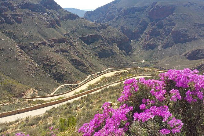 Full-Day Swartberg Mountain PRIVATE Tour (including lunch and transfers) - Walking among 300-million-year-old sandstone