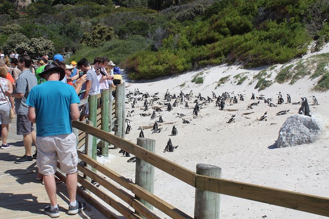 Full-Day Tour to Cape Point and Cape of Good Hope - Cape Point, the lighthouse, and Diaz Beach views