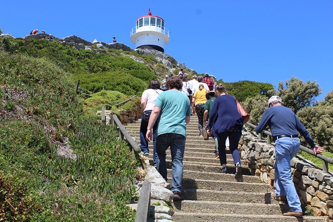 Full-Day Tour to Cape Point and Cape of Good Hope - Boulders Beach and the African penguins