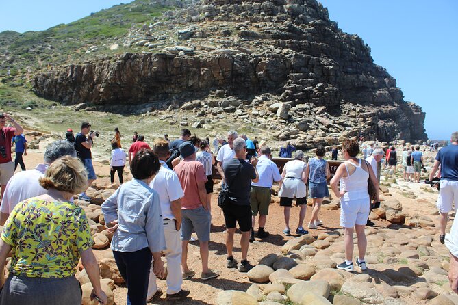 Full Day visit to Cape Point Cape of Good Hope for Special needs from Cape Town - Why this private Cape Peninsula day works well