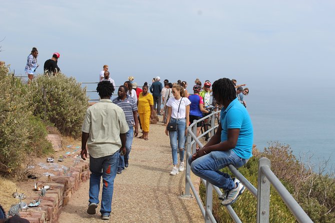 Full Day visit to Cape Point Cape of Good Hope for Special needs from Cape Town - Cape Point delivers the cliffs, lighthouses, and wind