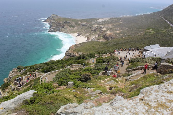 Full Day visit to Cape Point Cape of Good Hope for Special needs from Cape Town - Boulders Beach brings you close to African penguins