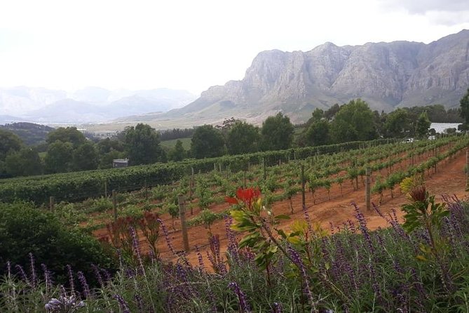 Full Day Wine Tasting in Stellenbosch, Franschoek & Paarl fees included - Mont Rochelle gives Franschhoek the longest stop