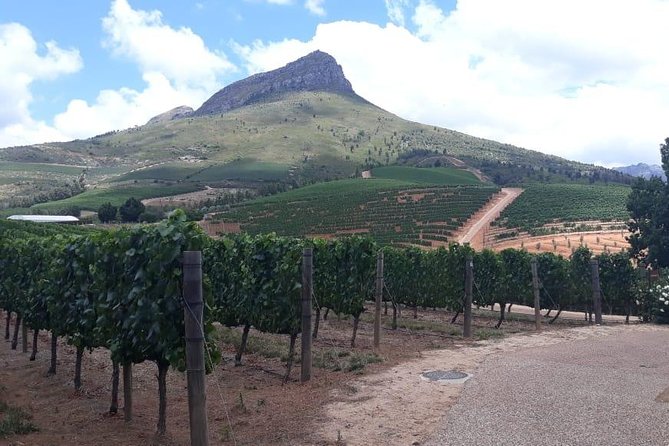 Full Day Wine Tasting in Stellenbosch, Franschoek & Paarl fees included - Why the private vehicle matters