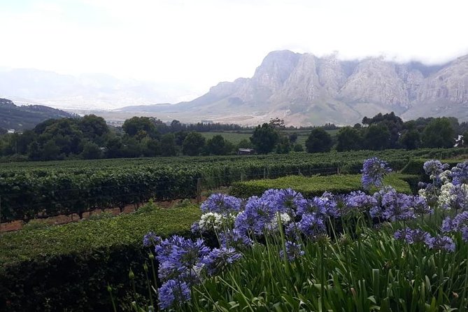 Full Day Wine Tasting in Stellenbosch, Franschoek & Paarl fees included - Understanding the $85 price