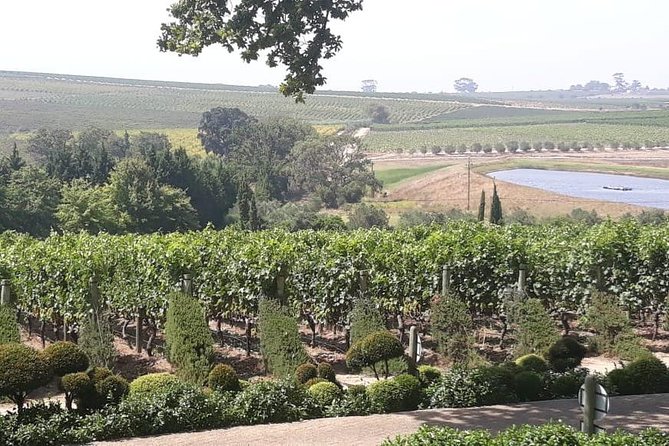 Full Day Wine Tasting in Stellenbosch, Franschoek & Paarl fees included - What the six-to-eight-hour schedule feels like