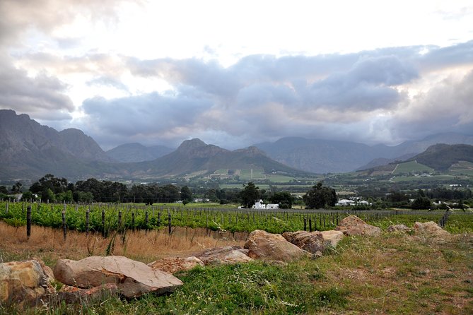 Full-Day Wine Tour from Stellenbosch - 9:30 a.m. pickup from your Stellenbosch accommodation