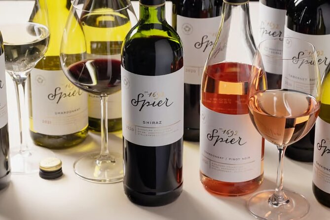 Full Day Winelands Tour With Wine Tasting from Cape Town - The guide and vehicle make or break the day
