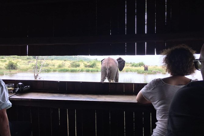 Fully inclusive Pilanesberg safari from Johannesburg - The long day and group size