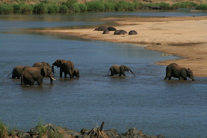 Fully inclusive Pilanesberg safari from Johannesburg - Riding into Pilanesberg National Park
