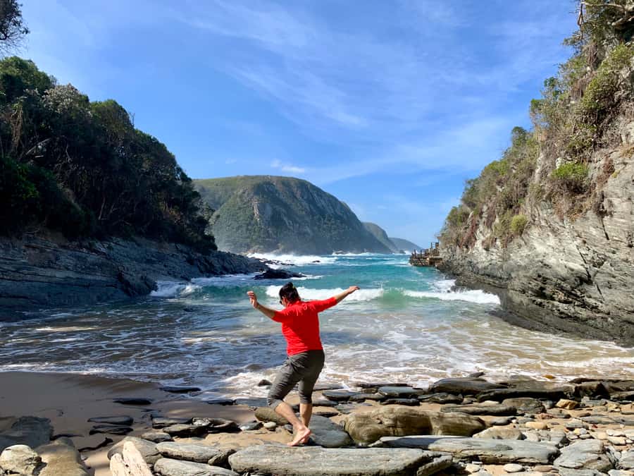 Garden Route and Addo Elephant National Park: 5-Day Safari - Day 5: Addo elephants and the final run to Port Elizabeth
