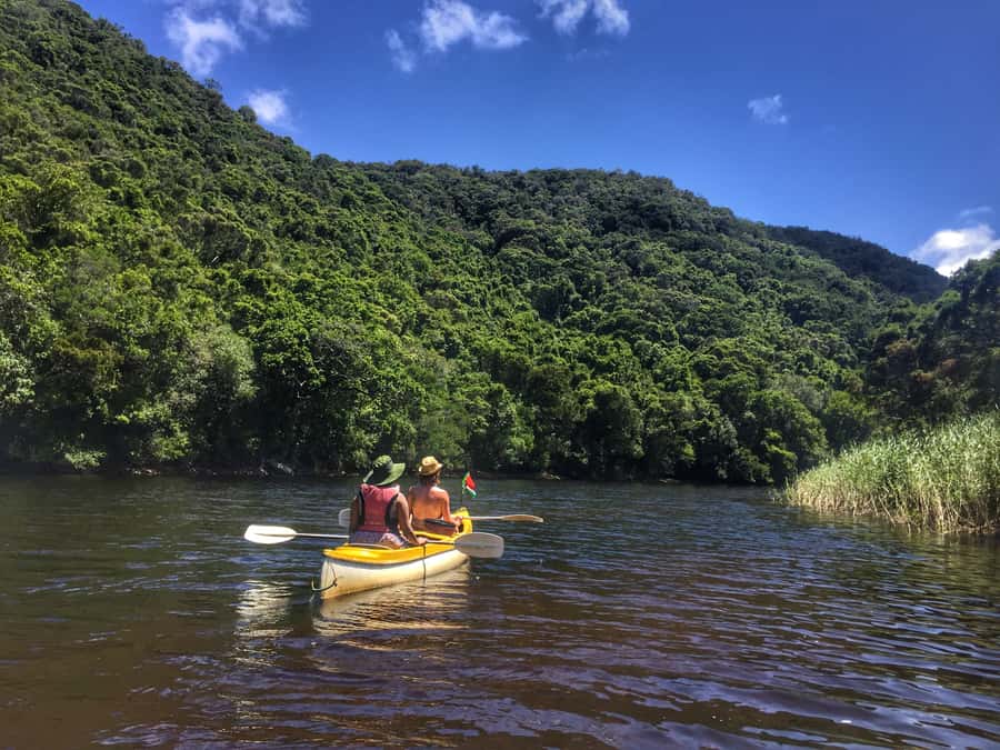 Garden Route and Addo Elephant National Park: 5-Day Safari - Day 1: penguins, Hermanus, and Cape Agulhas