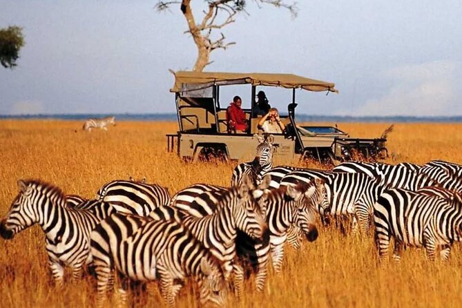 Garden Route and Addo National Park 4 Day Safari - Who should book this safari?