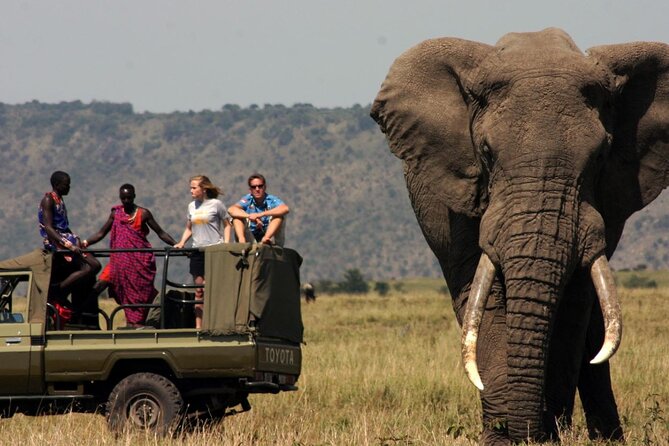 Garden Route & Botlierskop G Reserve 5 Day Safari from Cape Town - What this five-day route is really like