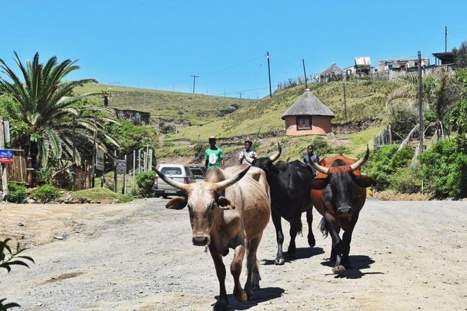 Garden Route Durban to Cape Town via Addo National Park - 7 Days - Day 2: The Wild Coast between Mthatha and East London
