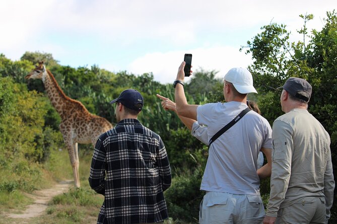 Giraffe Tracking 4x4 Safaris - What Makes This Safari Special