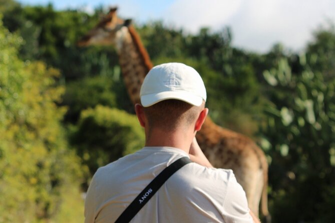 Giraffe Tracking 4x4 Safaris - The First View From the 4x4