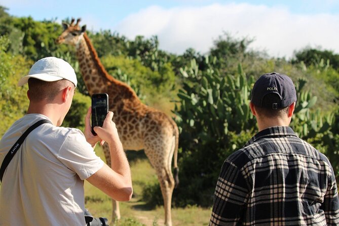 Giraffe Tracking 4x4 Safaris - What the Field Guide Adds