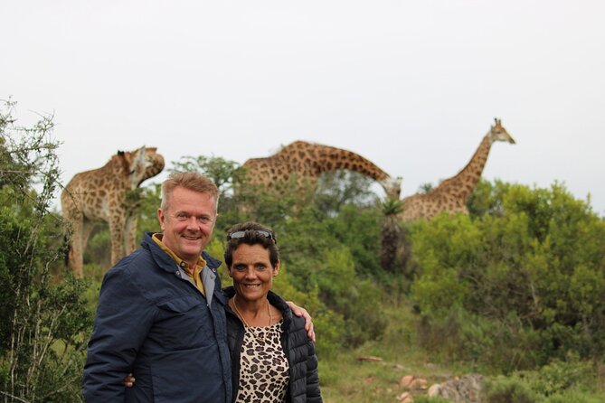 Giraffe Tracking 4x4 Safaris - Breakfast or Sundowner Views
