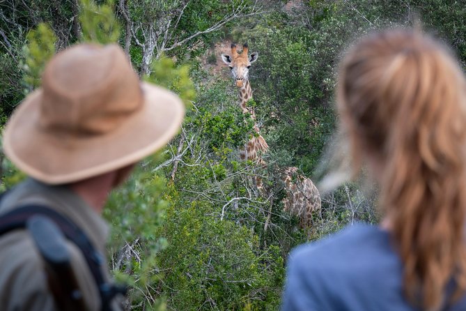 Giraffe Tracking 4x4 Safaris - Who Will Enjoy This Experience Most