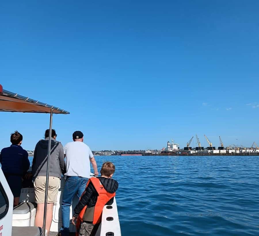 Gqeberha: 30 MINUTE HARBOUR CRUISE - Inside the 30-minute harbour route