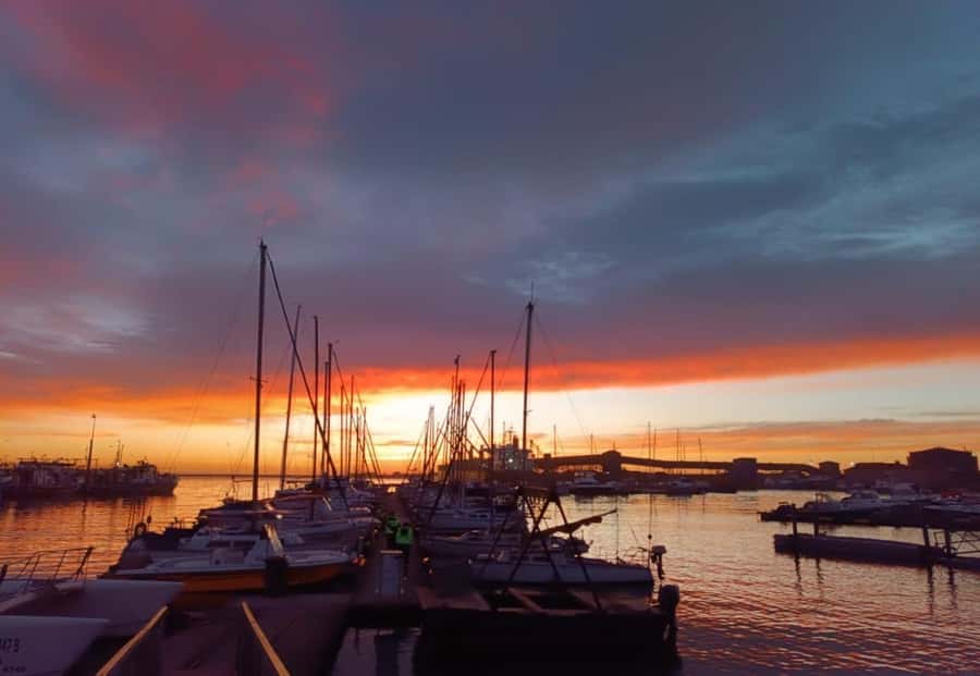 Gqeberha: 30 MINUTE HARBOUR CRUISE - Is $18 good value for 30 minutes?