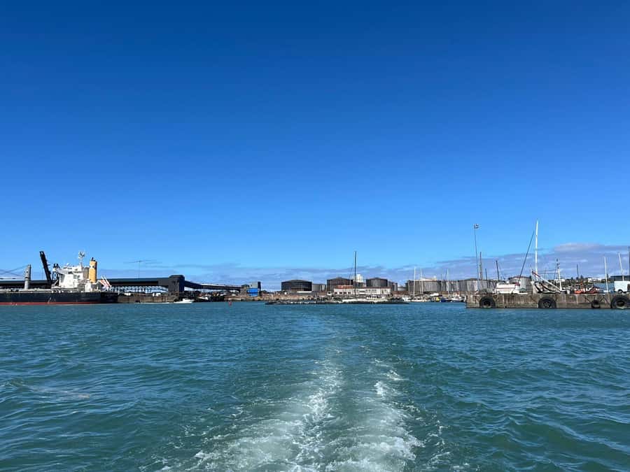 Gqeberha: 30 MINUTE HARBOUR CRUISE - The main strengths and limitations