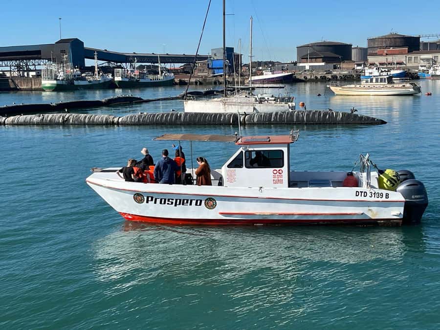 Gqeberha: 30 MINUTE HARBOUR CRUISE - Starting at Nelson Mandela Bay Yacht Club