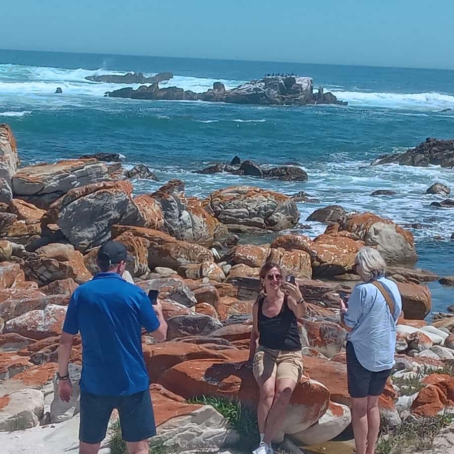 Gqeberha: City Highlights Car and Walking Tour - Who will enjoy this three-hour outing