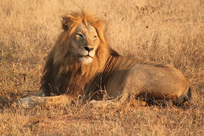Greater Kruger National Park 4 day safari at a private game lodge - Arriving at Mohlabetsi Safari Lodge