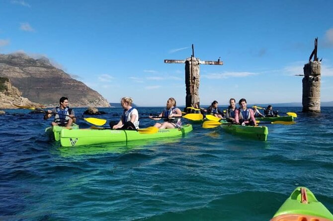 Guided Kayaking in Hout Bay - Taking in Hout Bay Harbor from the water