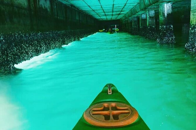 Guided Kayaking in Hout Bay - Watching for seals, penguins, whales, and dolphins