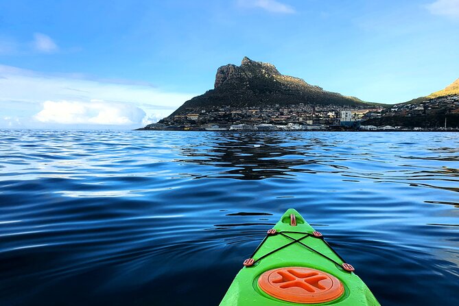 Guided Kayaking in Hout Bay - Is two hours enough?